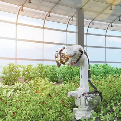 艾綠集團 引領花卉產業(yè)創(chuàng)新與綠色發(fā)展的領軍者