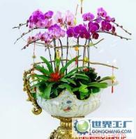 杭州花卉盆景植物租賃租擺服務，世界工廠網供應信息