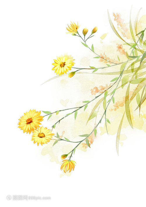 雛菊水彩與水果 清新藝術中的自然交融